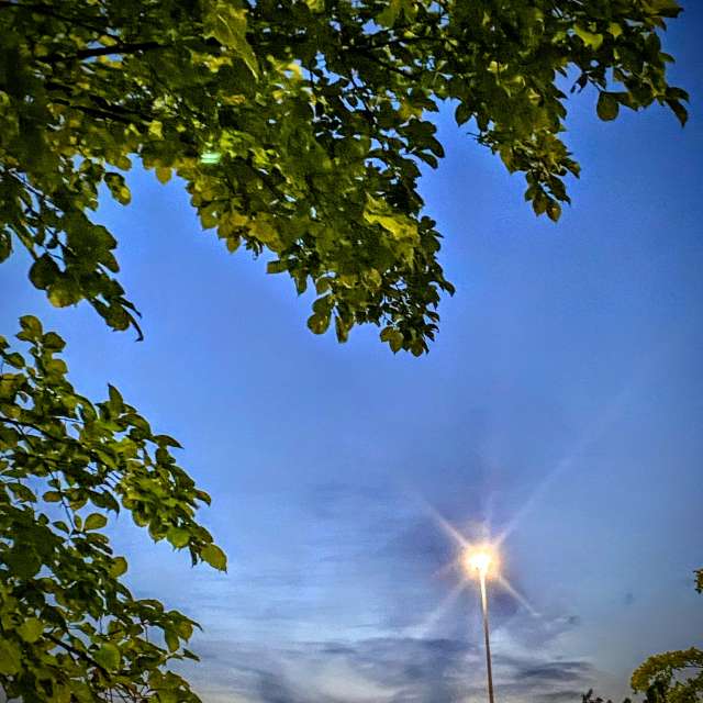 Feu. Wettervorhersagen mit schönen Fotos von Lulu5523 Fotos le Plateau