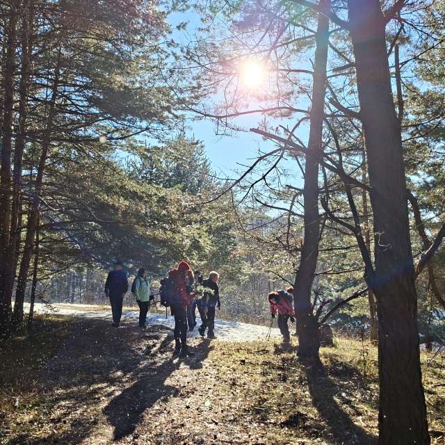 Weather forecasts with beautiful photos by steve2025s