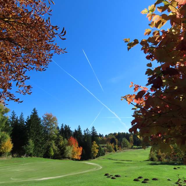 天气预报，带Sviatoslav精美的照片