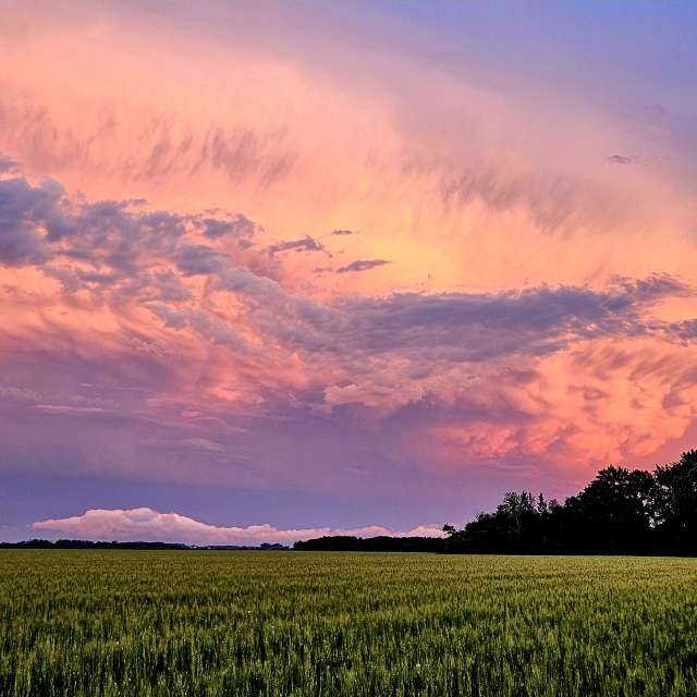Jd2024の美しい写真による天気予報
