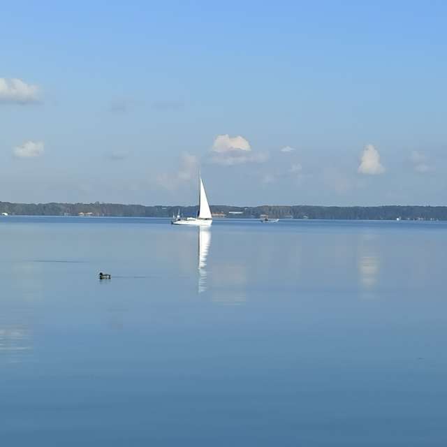 天气预报，带Helo_Sam精美的照片