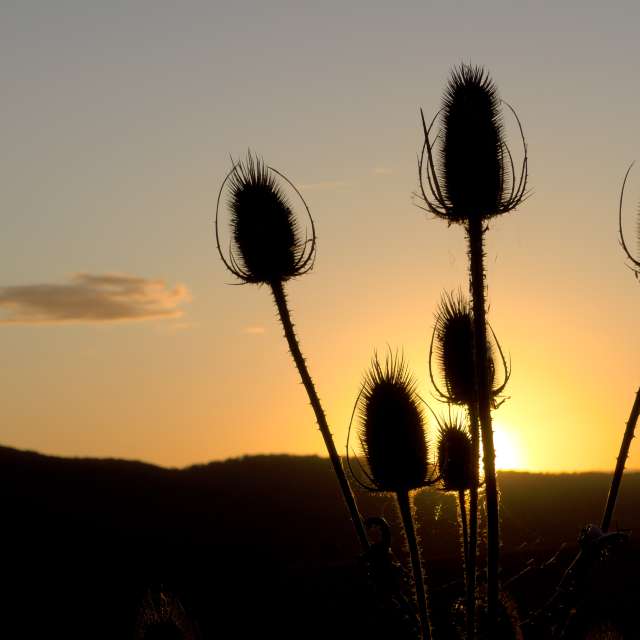 Pronósticos del tiempo con hermosas fotos de Richtoldi