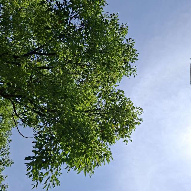 Photos Facile. Prévisions météo avec de superbes photos de Wen-ya Huang de Kaohsiung