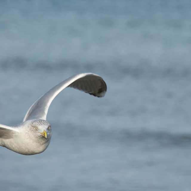 Close. Weather forecasts with beautiful photos by martinm611 Photos in Gdansk