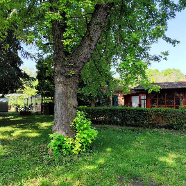 sloaraiの美しい写真による天気予報