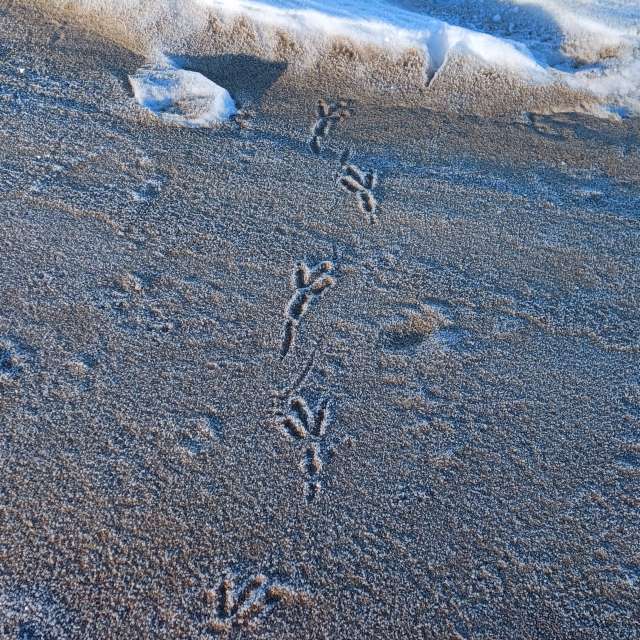 Weather forecasts with beautiful photos by Hikey