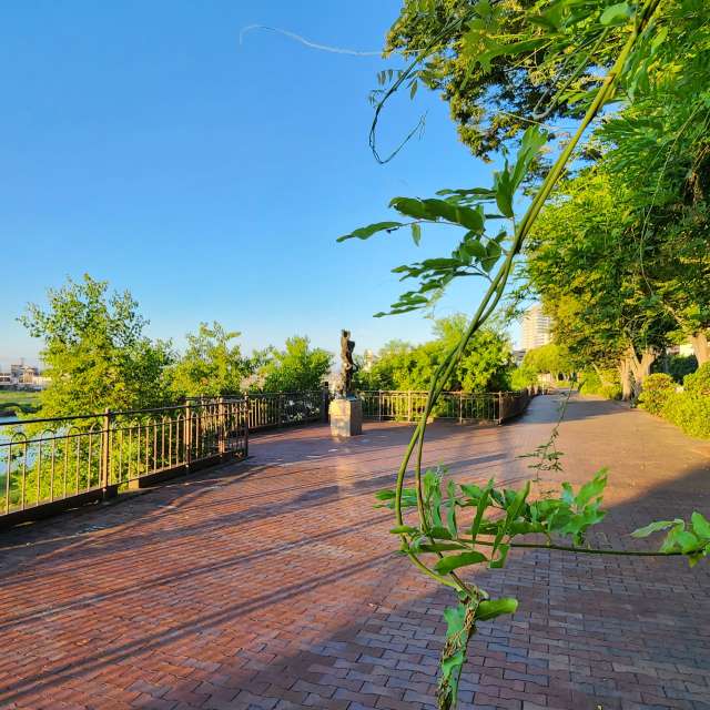 To stop. Weather forecasts with beautiful photos by あさのジジ Photos in Okayama