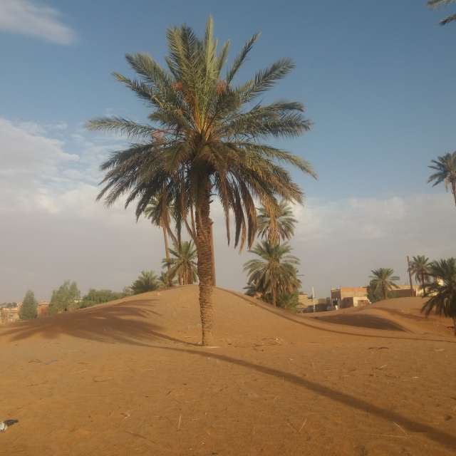 Photos Sablonneux. Prévisions météo avec de superbes photos de BELGHOUL-KADDA de Béchar