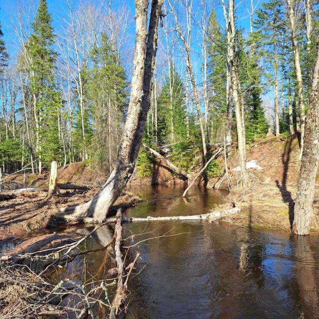 Weather forecasts with beautiful photos by NorthernMichiganBeauty