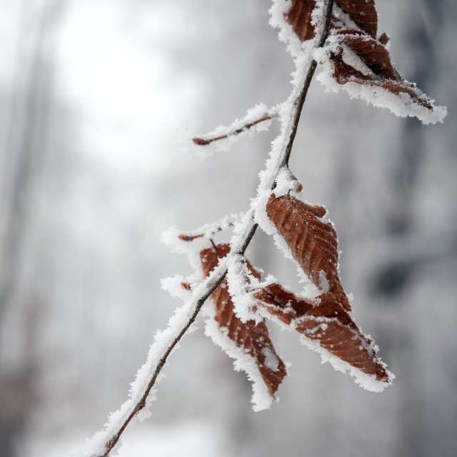 Pronósticos del tiempo con hermosas fotos de Paul57