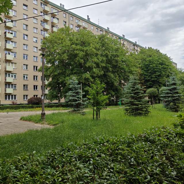 Fotos del Herboso. Pronósticos del tiempo con hermosas fotos de zjabri en Cracovia