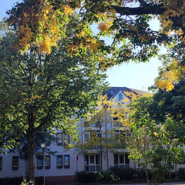 Path. Weather forecasts with beautiful photos by Tercis Photos in Ettlingen