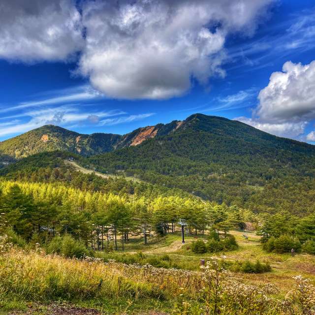 Grass. Weather forecasts with beautiful photos by Kasumisou Photos in 高峰高原