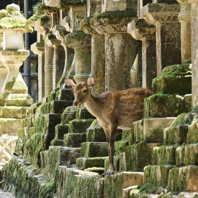 fcuchilloの美しい写真による天気予報