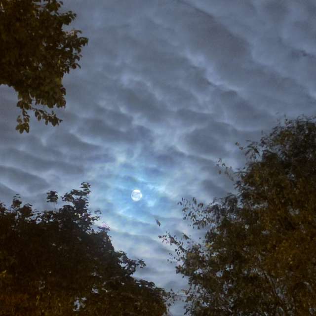 Weather forecasts with beautiful photos by Dorottya Jez