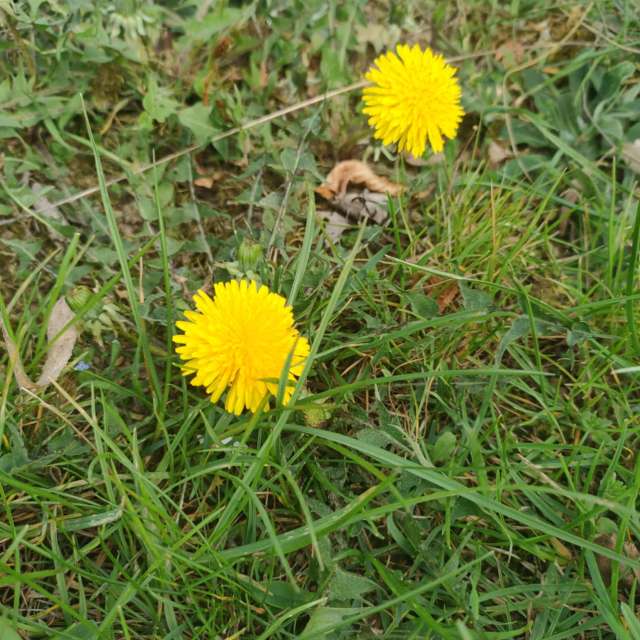 Ania-12の美しい写真による天気予報