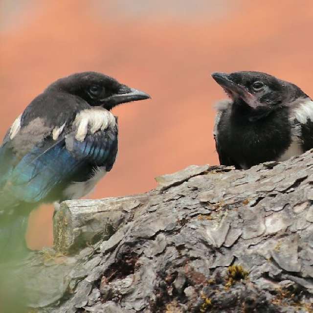 Прогнозы погоды с чудесными фотографиями, сделанными Ninette