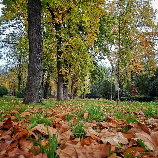 天气预报，带Aleksandar精美的照片