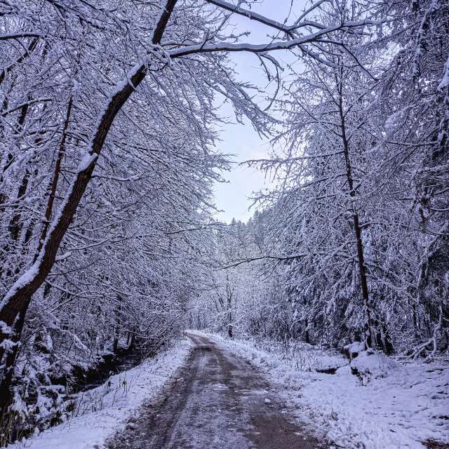 Weather forecasts with beautiful photos by _richardd