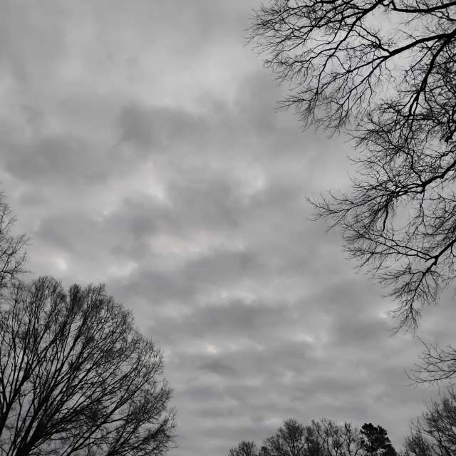 Wettervorhersagen mit schönen Fotos von Awcat