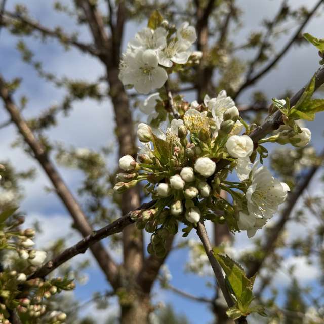 GREENE. Weather forecasts with beautiful photos by Svet-Lana Photos in Rīga
