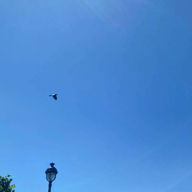 Walking. Weather forecasts with beautiful photos by Lulu5523 Photos in le Plateau