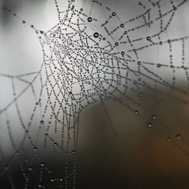 Pronósticos del tiempo con hermosas fotos de Fabri