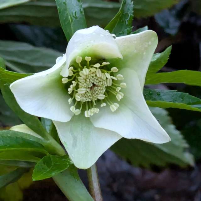 Прогнозы погоды с чудесными фотографиями, сделанными Sunshinelady62