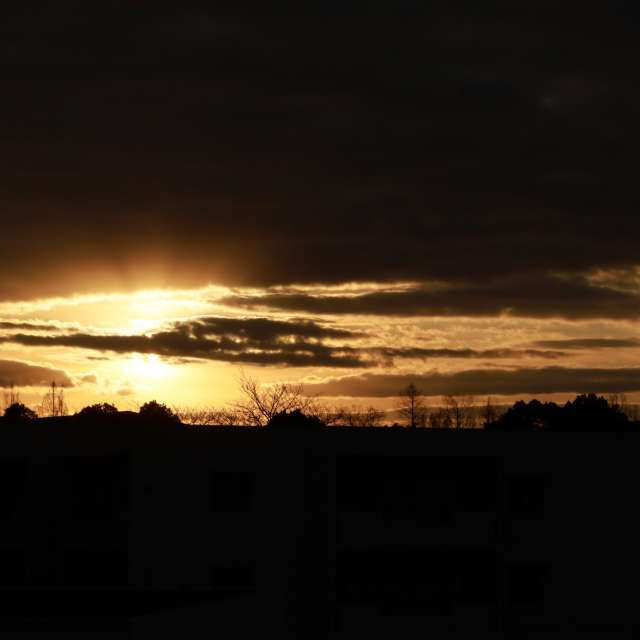 Fotos del Clima. Pronósticos del tiempo con hermosas fotos de Sandersonia en Tama