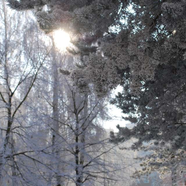 Weather forecasts with beautiful photos by Marcela Cervenakova