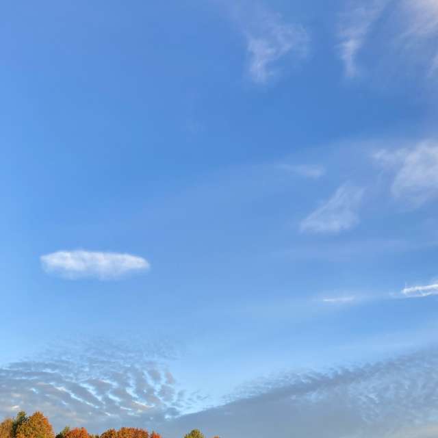 Pronósticos del tiempo con hermosas fotos de prairiesands