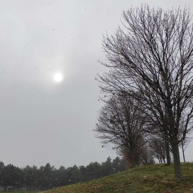 Offen. Wettervorhersagen mit schönen Fotos von Kripo Fotos Niederösterreich