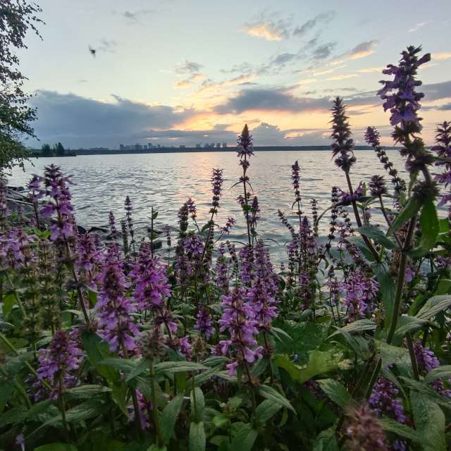 天气预报，带RUMBASTER精美的照片