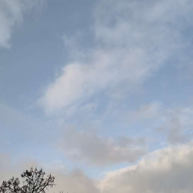 Fotos del Caminando. Pronósticos del tiempo con hermosas fotos de YanBog en Bucharest