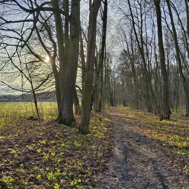 Yasnaya Polyana的Weather. 天气预报，带Aleksei精美的照片照片