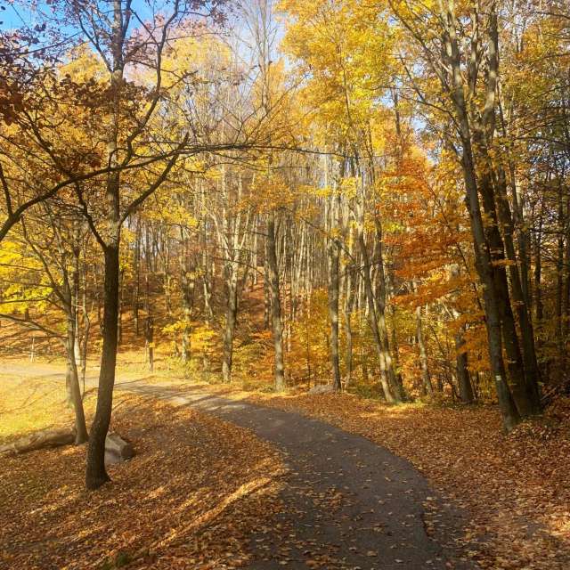 天气预报，带ivan-ko精美的照片