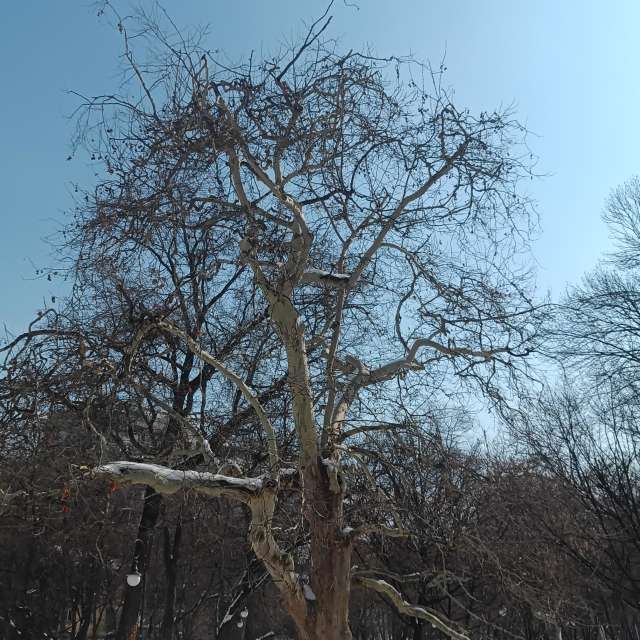 Fotos del Cruz. Pronósticos del tiempo con hermosas fotos de YanBog en București
