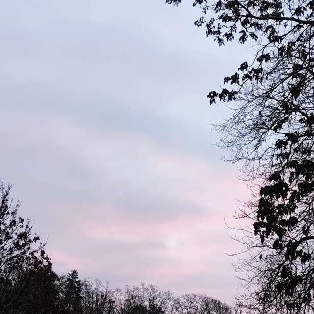 天气预报，带Gaucho精美的照片