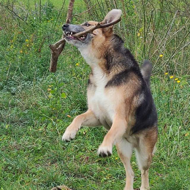 Weather forecasts with beautiful photos by Kren66