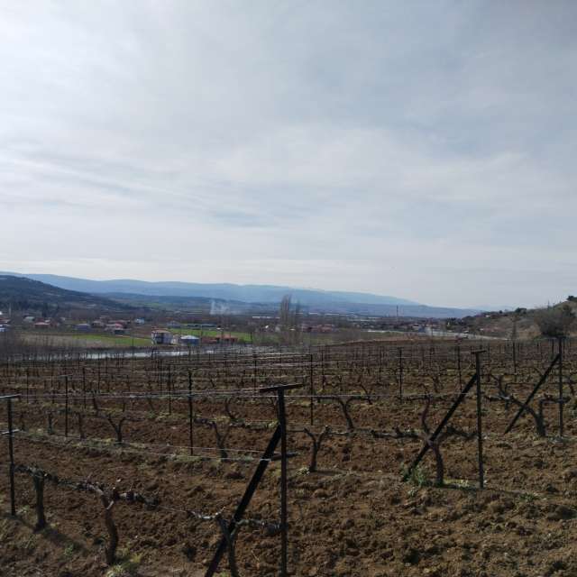 Weather forecasts with beautiful photos by Atakancry