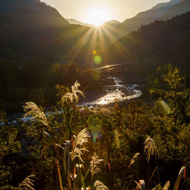 Sheep. Weather forecasts with beautiful photos by upit3work Photos in World