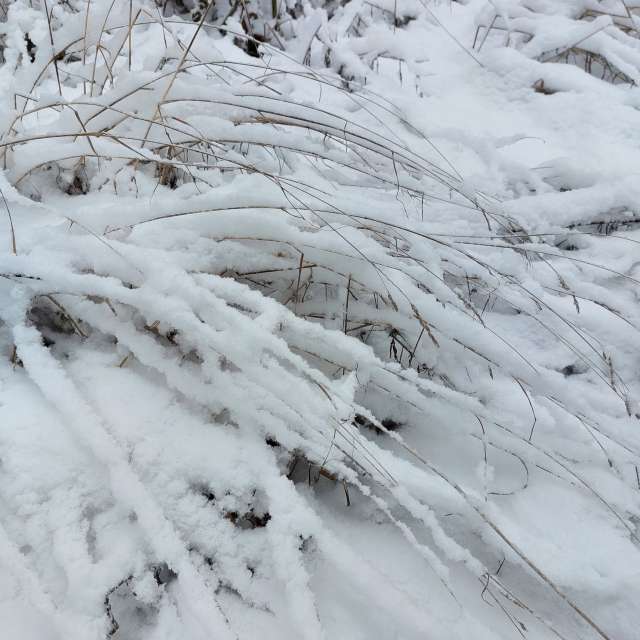 Fluffy. Weather forecasts with beautiful photos by Iryna Photos in Kharkiv