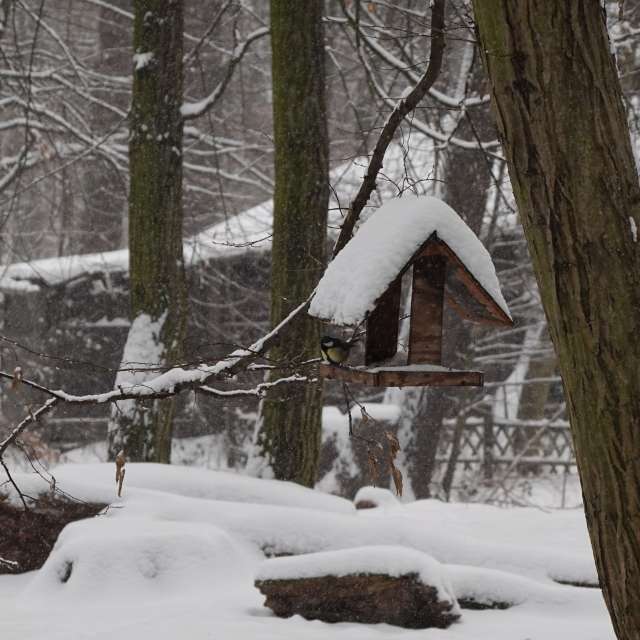 Fotos Madeira. Previsões do tempo com lindas fotos de Vasek325 em Praha 4