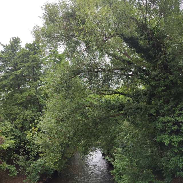 Body. Weather forecasts with beautiful photos by Tercis Photos in Ettlingen