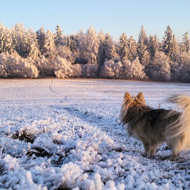 hejpetrpepaの美しい写真による天気予報