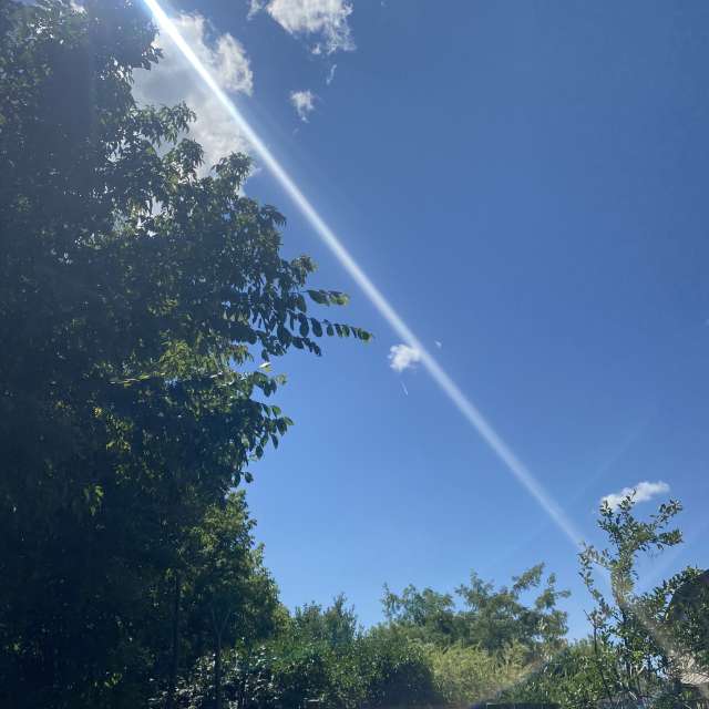 Young. Weather forecasts with beautiful photos by Lulu5523 Photos in le Plateau