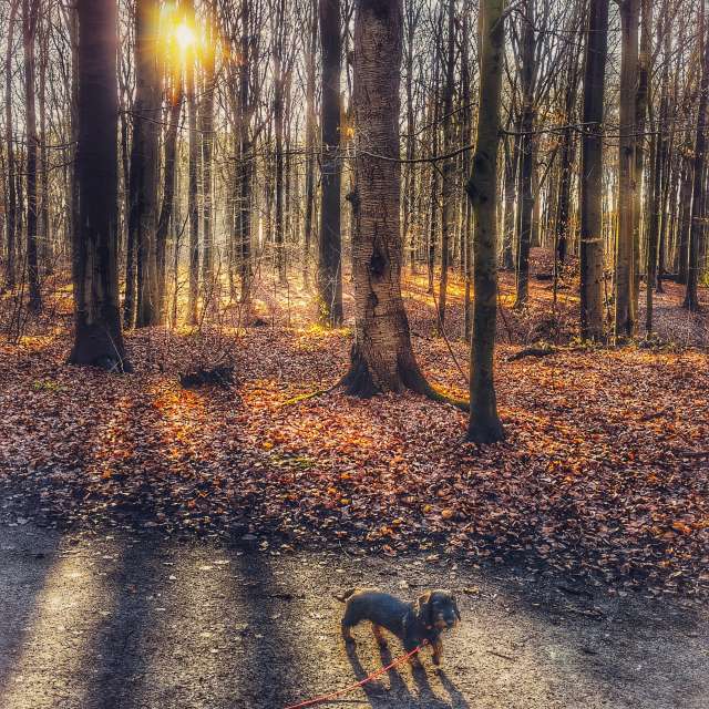 Weather forecasts with beautiful photos by Gweiland