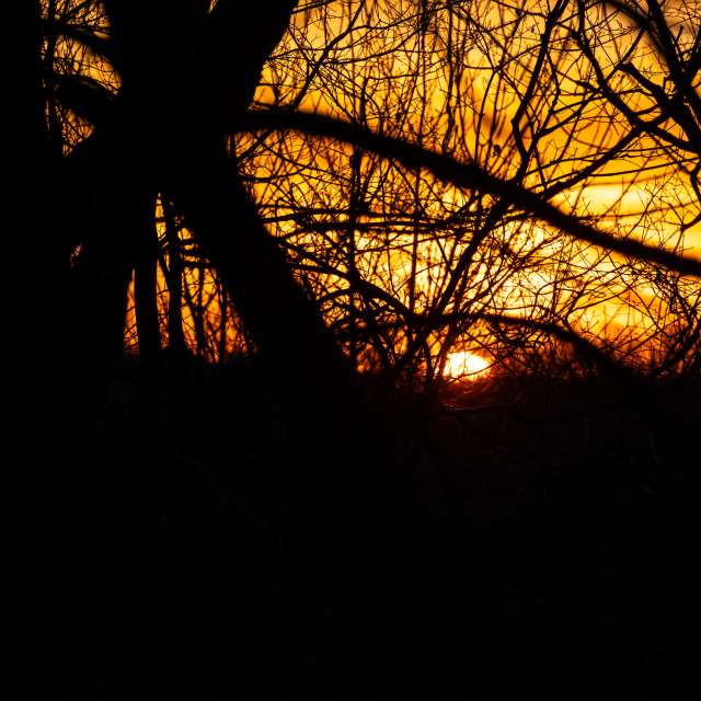 Прогнозы погоды с чудесными фотографиями, сделанными krantzjh