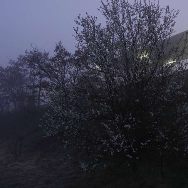 Fotos Luz. Previsões do tempo com lindas fotos de Vasek325 em Praha 12