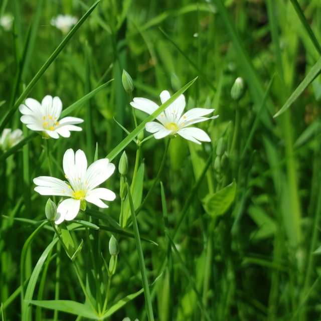 accoteの美しい写真による天気予報